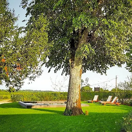 Bed & Breakfast Logis De Valandraud