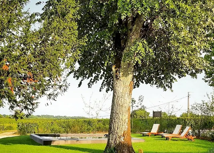 Nocleg ze śniadaniem Logis De Valandraud Saint-Émilion